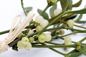 Mistletoe Extract as Cancer Therapy